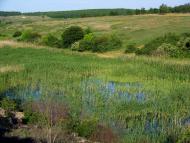 Гурівка з panoramio.com