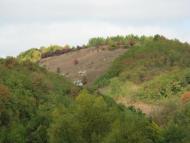 Миньківці з panoramio.com