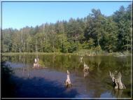 Гута з panoramio.com