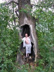 Вільхівка з panoramio.com