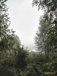 Мохначі з panoramio.com