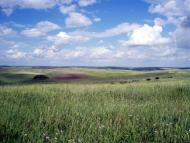 Бовшів з panoramio.com