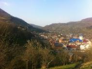 Косівська Поляна з panoramio.com