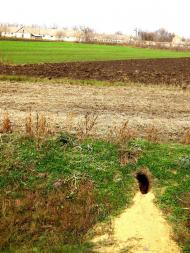 Степне з panoramio.com