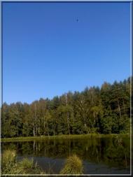 Гута з panoramio.com