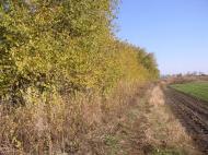 Райське з panoramio.com