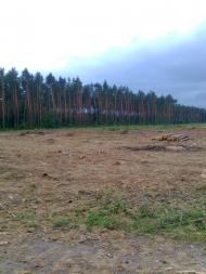 Вишняки з panoramio.com