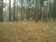 Тросне з panoramio.com