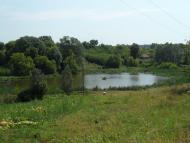 Зарябинка з panoramio.com