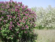 Темрюк з panoramio.com