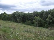 Юр'ямпіль з panoramio.com