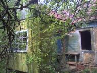 Коверівка з panoramio.com
