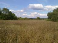 Чорногородка з panoramio.com