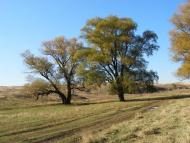 Новоолексіївка з panoramio.com