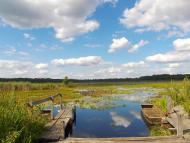 Скулин з panoramio.com