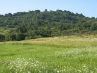 Худльово з panoramio.com