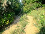 Орлівське з panoramio.com