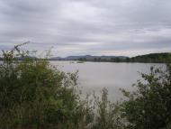 Гудя з panoramio.com