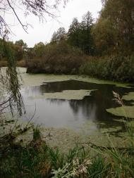 Немішаєве з panoramio.com