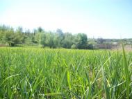 Ананьїв з panoramio.com