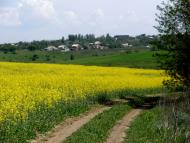 Дніпрельстан з panoramio.com