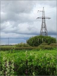 Дробишів з panoramio.com