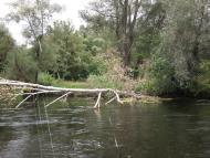 Криничне з panoramio.com