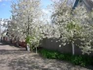 Дослідницьке з panoramio.com