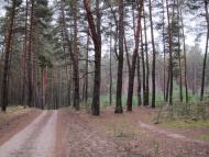 Морозовка - Последние фото