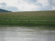 Стінка з panoramio.com