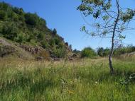 Кольчино з panoramio.com