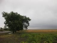 Дмитрівка з panoramio.com