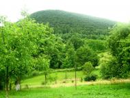 Пістинь з panoramio.com