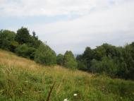 Кострина з panoramio.com