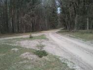 Котів з panoramio.com