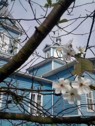 Зрайки з panoramio.com