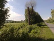 Рибалкине з panoramio.com