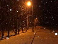 Рибалкине з panoramio.com