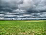 Волошинівка з panoramio.com