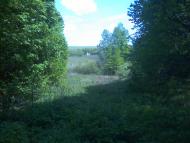 Коверівка - Останні фото