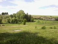 Лани з panoramio.com