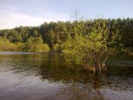 Погорілівка з panoramio.com