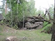 Пугач з panoramio.com