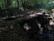 Полянська Гута з panoramio.com