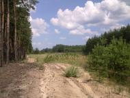 Студенок з panoramio.com