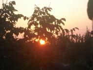 Світле з panoramio.com