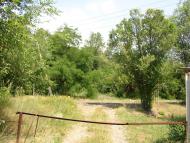 Новогришине з panoramio.com