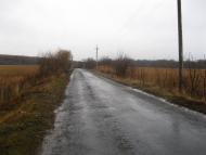 Чижове з panoramio.com