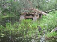 Пугач з panoramio.com