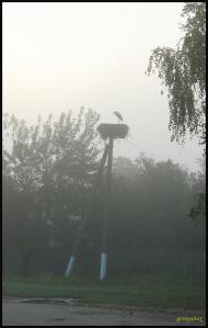 Мохначі з panoramio.com